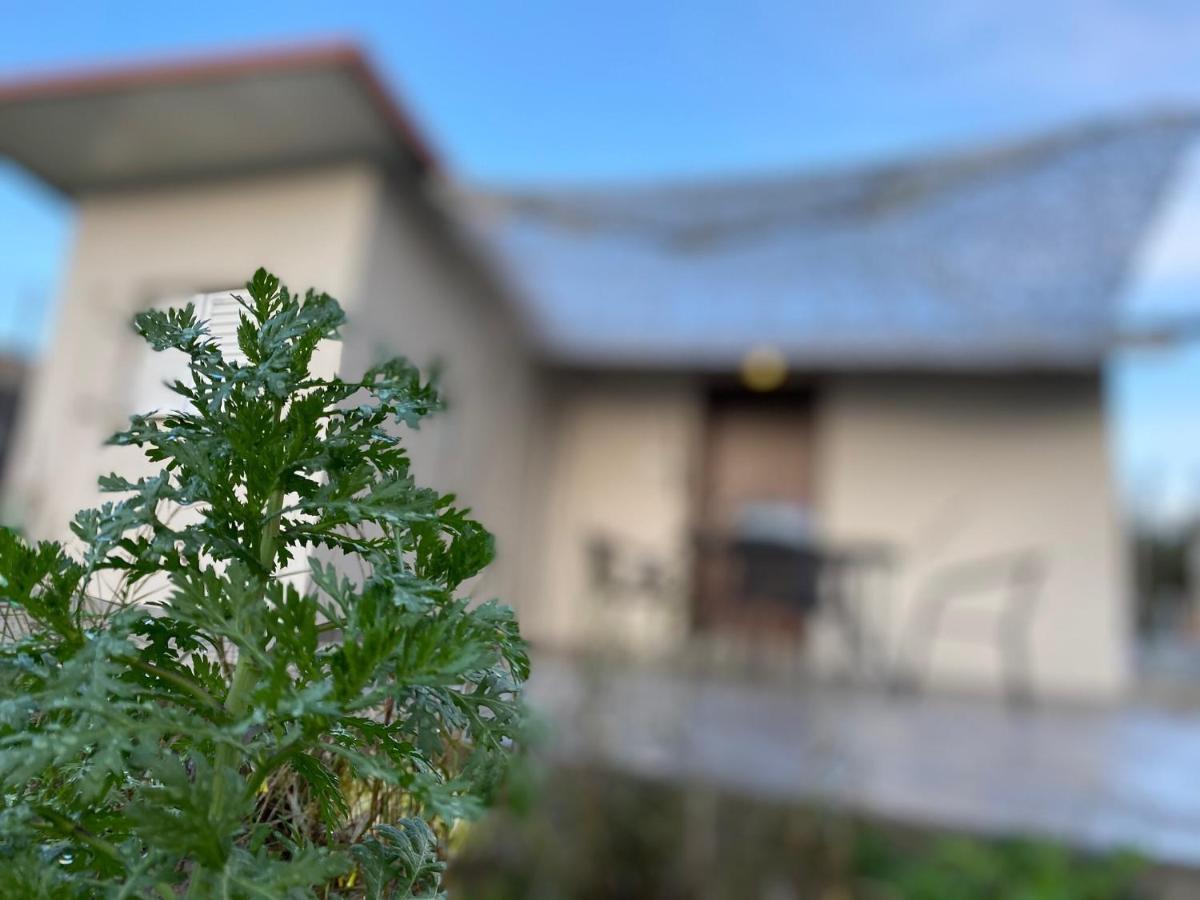 Villa Riqionian House Vromonérion Exterior foto
